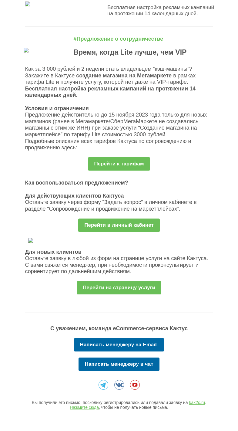 Письмо компании «Кактус» на тему «Время, когда Lite лучше, чем VIP. Для ваших онлайн-продаж»