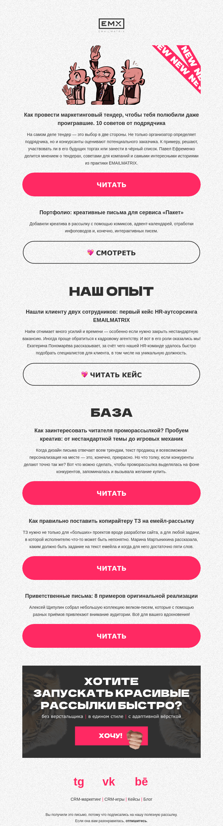 Письмо компании «EMAILMATRIX» на тему «Тендеры в маркетинге: взгляд подрядчика»