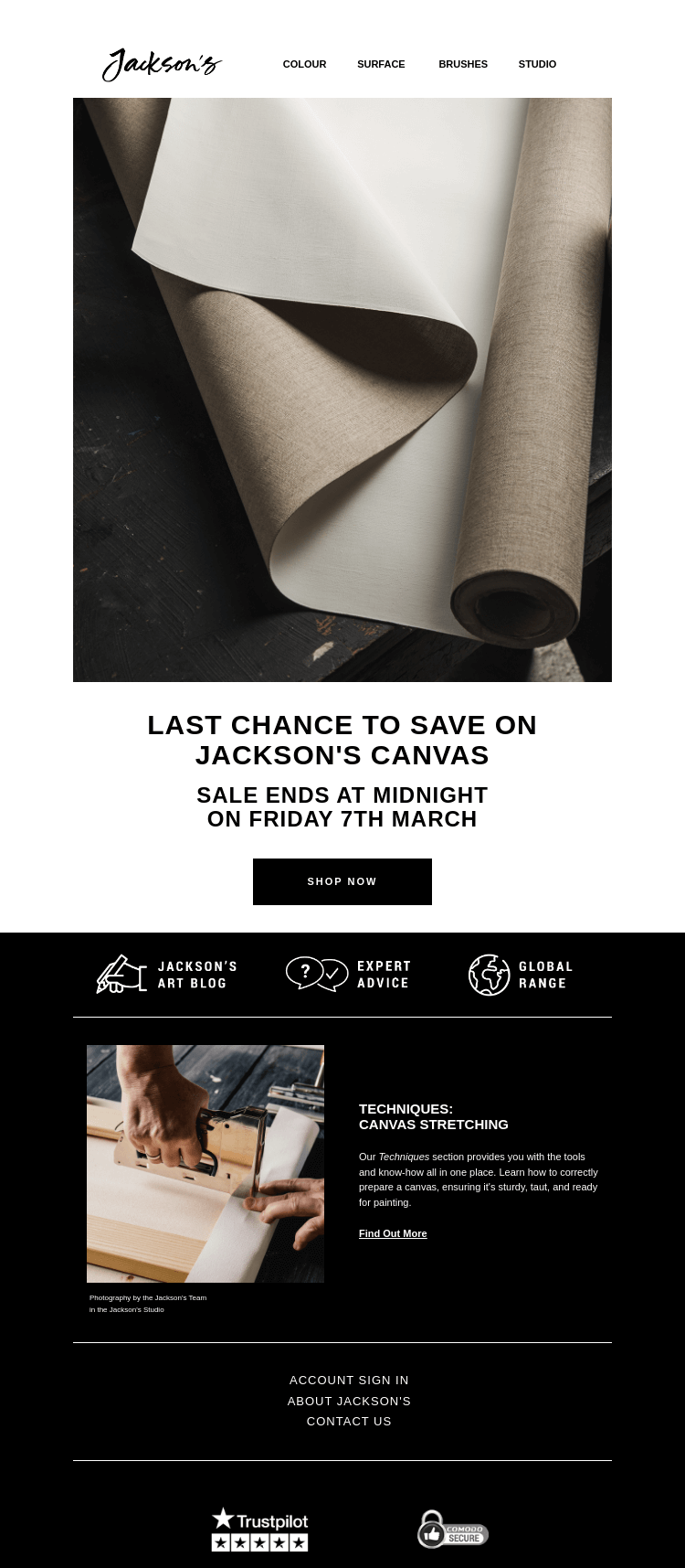 Письмо компании «Jackson's Art - In the Studio» на тему «Jackson's Canvas Sale Ends Soon»
