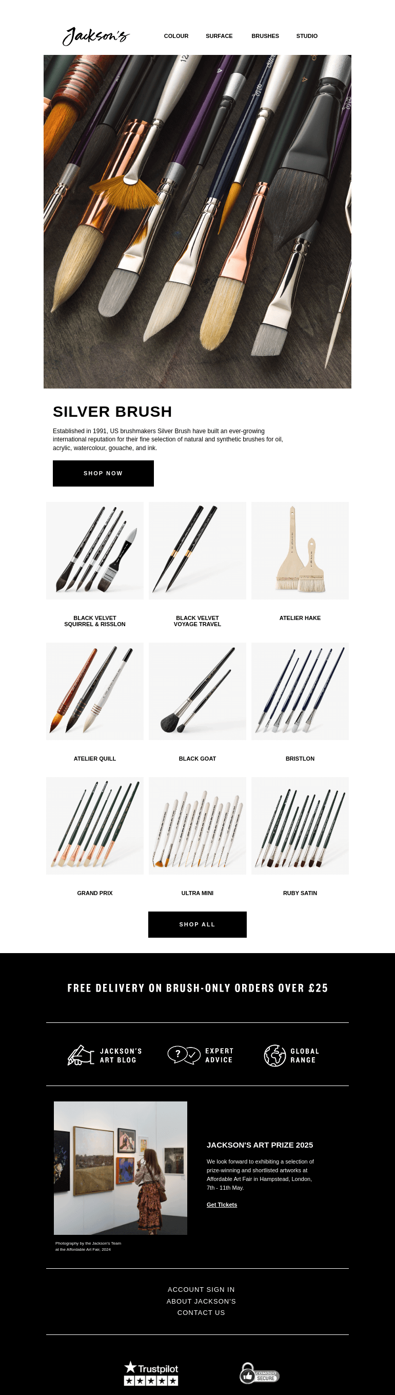 Письмо компании «Jackson's Art - In the Studio» на тему «Silver Brush Sale»