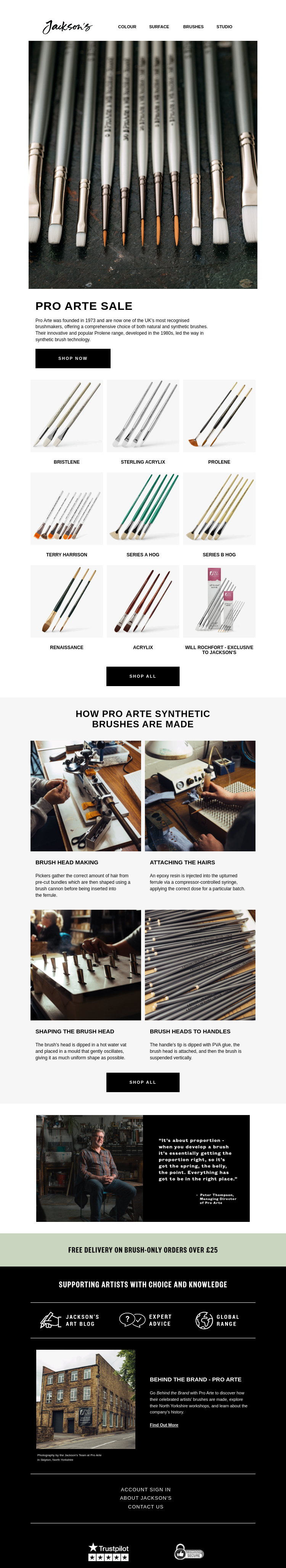 Письмо компании «Jackson's Art - In the Studio» на тему «Pro Arte Sale»