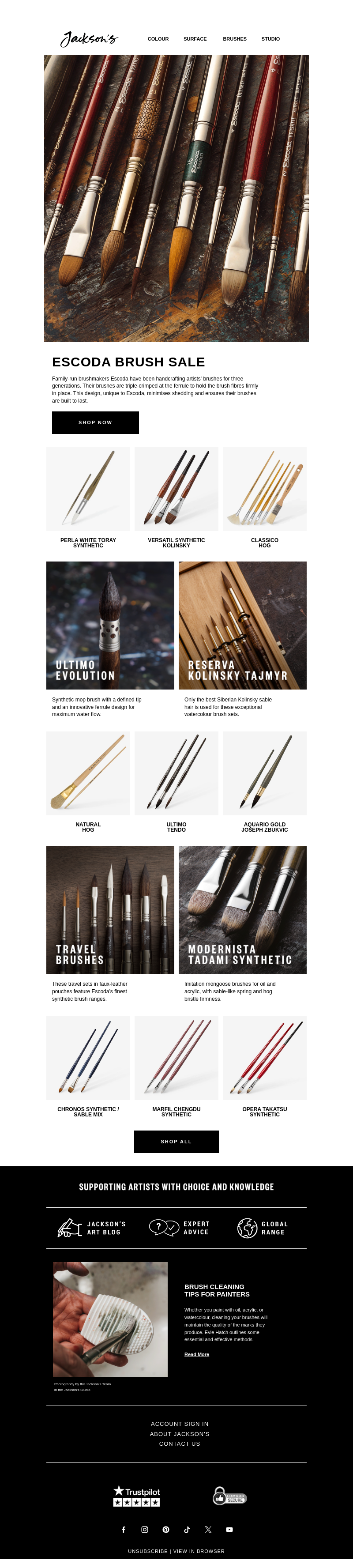 Письмо компании «Jackson's Art - In the Studio» на тему «Escoda Brush Sale»