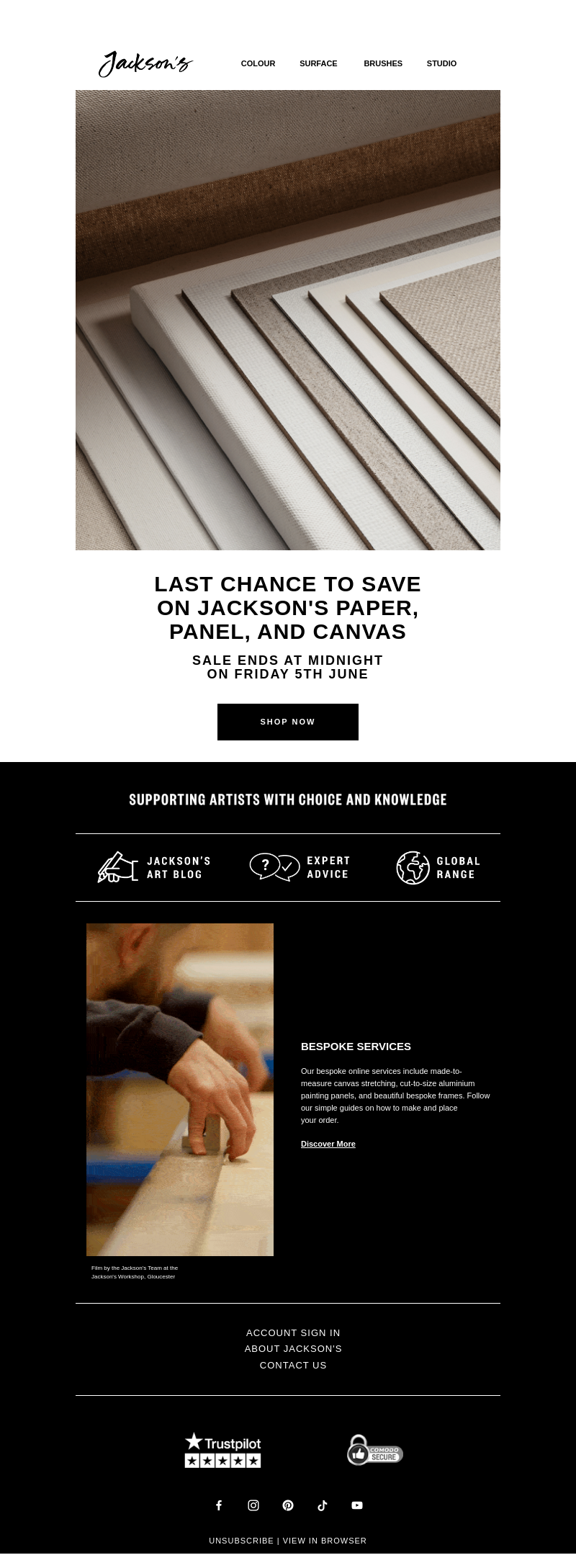 Письмо компании «Jackson's Art - In the Studio» на тему «Last Chance to Save on Jackson's Paper, Panel, and Canvas»