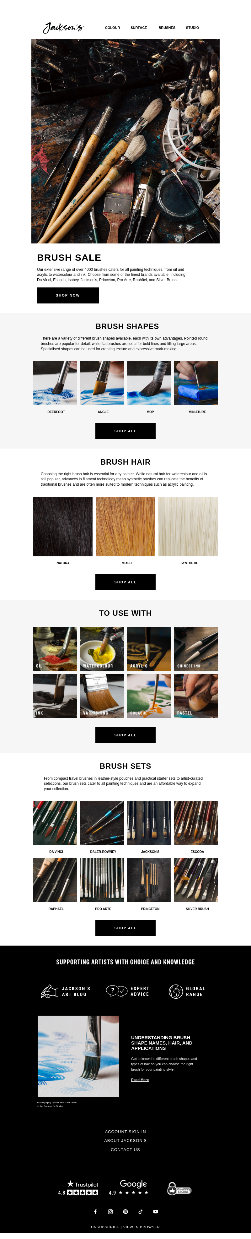 Письмо компании «Jackson's Art - In the Studio» на тему «Brush Sale»