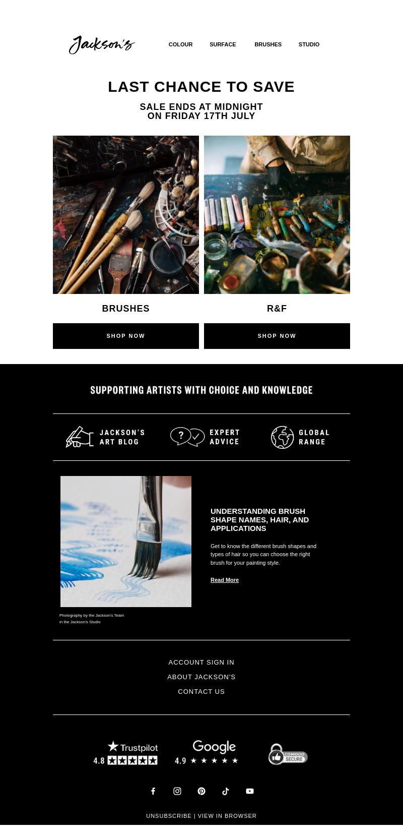 Письмо компании «Jackson's Art - In the Studio» на тему «Last Chance to Save on Brushes and R&F»