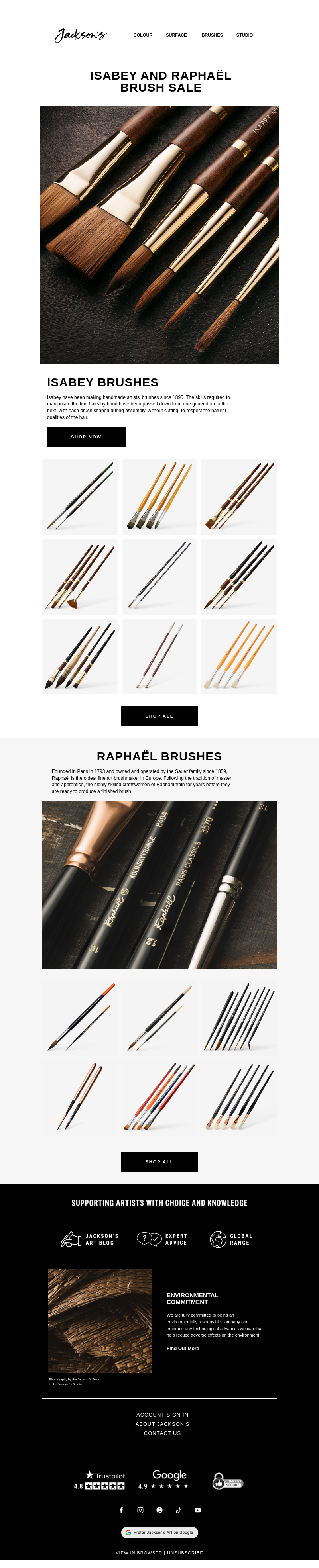 Письмо компании «Jackson's Art - In the Studio» на тему «Isabey And Raphaël Brush Sale»