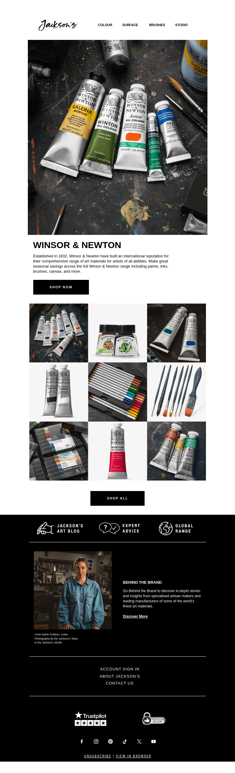 Письмо компании «Jackson's Art - In the Studio» на тему «Winsor & Newton Sale»