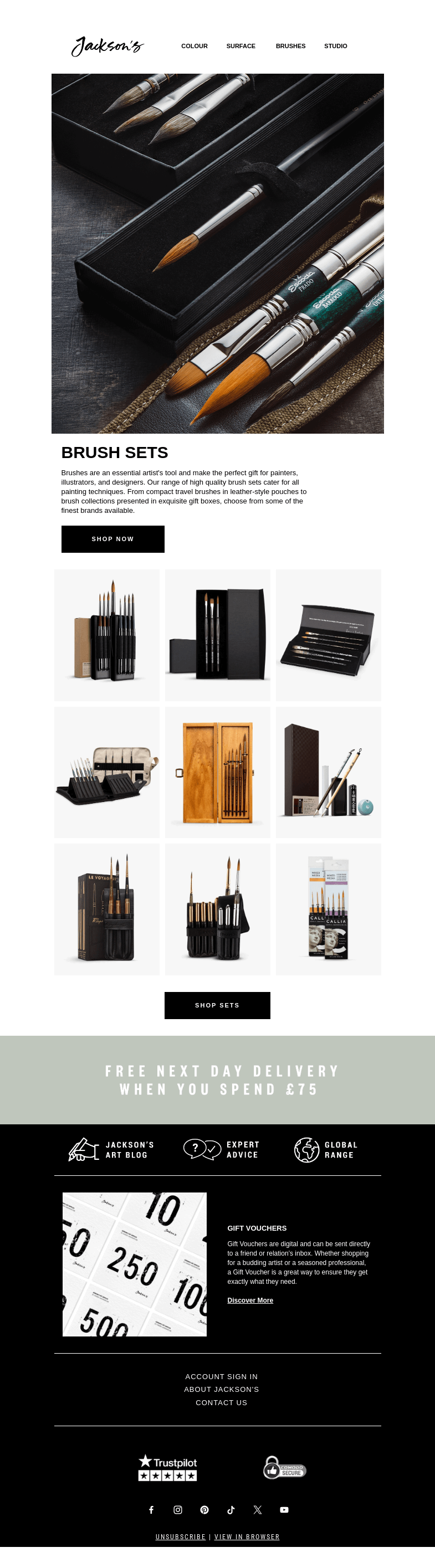 Письмо компании «Jackson's Art - In the Studio» на тему «Brush Set Sale»