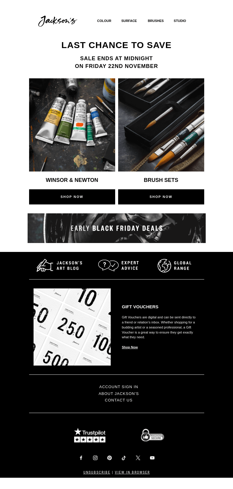 Письмо компании «Jackson's Art - In the Studio» на тему «Last Chance to Save on Winsor & Newton and Brush Sets»