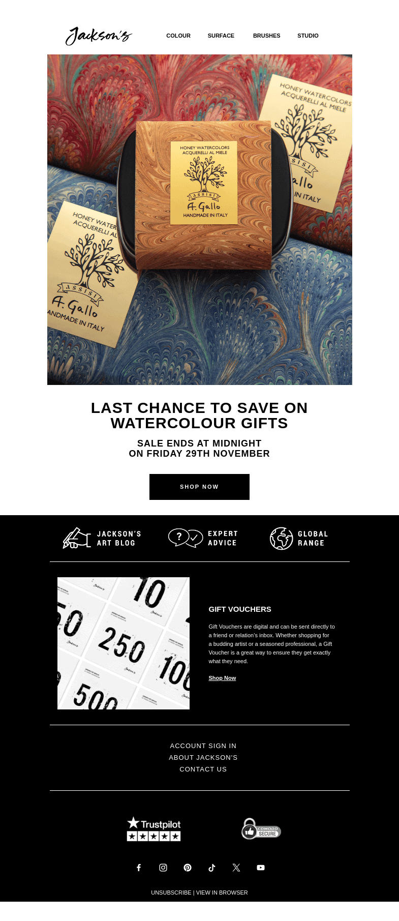 Письмо компании «Jackson's Art - In the Studio» на тему «Last Chance to Save on Watercolour Gifts»