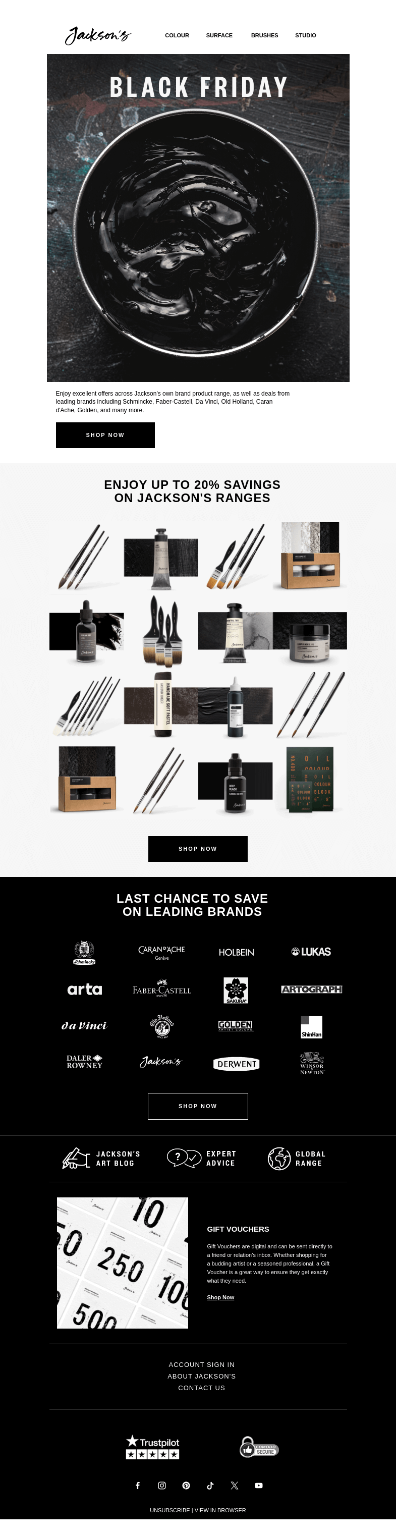 Письмо компании «Jackson's Art - In the Studio» на тему «Black Friday: 20% Deals on Jackson's Own Brand»