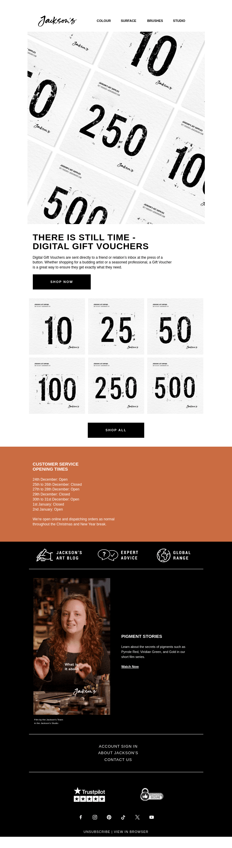 Письмо компании «Jackson's Art - In the Studio» на тему «Digital Gift Vouchers for Last Minute Gifting»