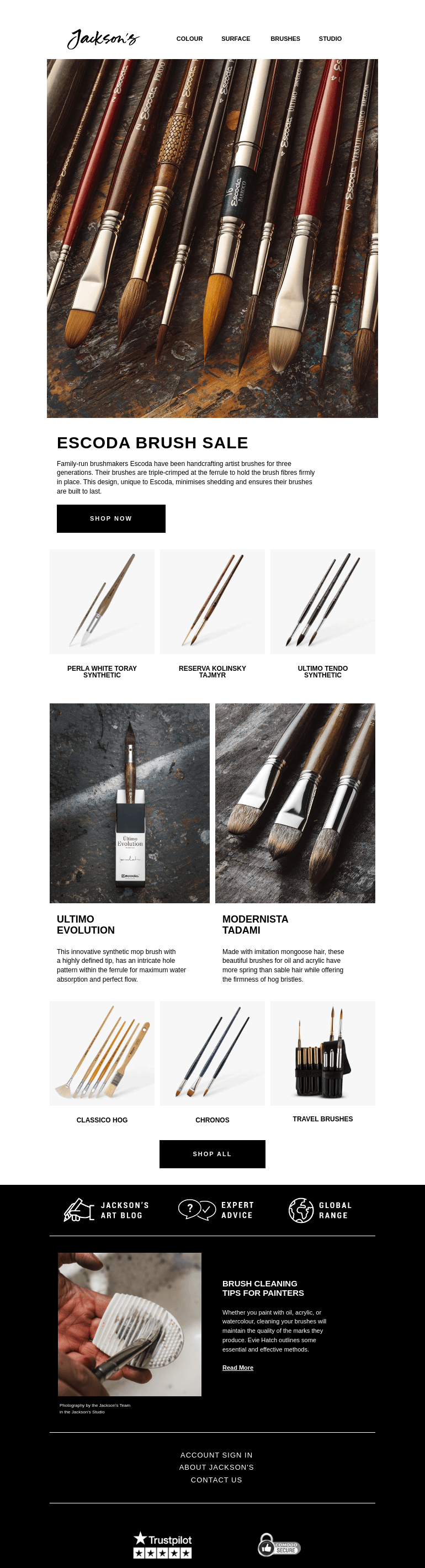 Письмо компании «Jackson's Art - In the Studio» на тему «Save on Escoda Brushes»