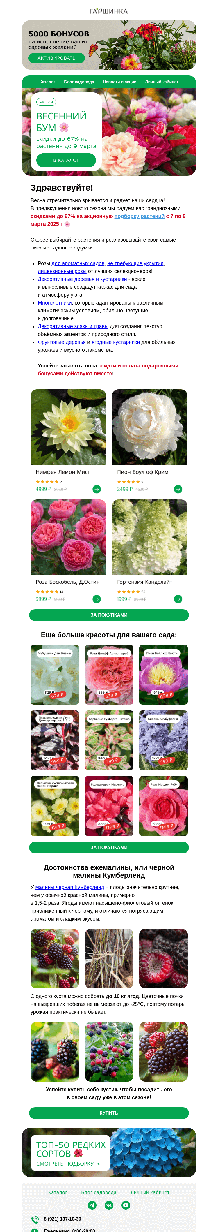 Письмо компании «Гаршинка.ру» на тему «Весенний БУМ 💥 До -67% на растения 🌲☘️🌼»