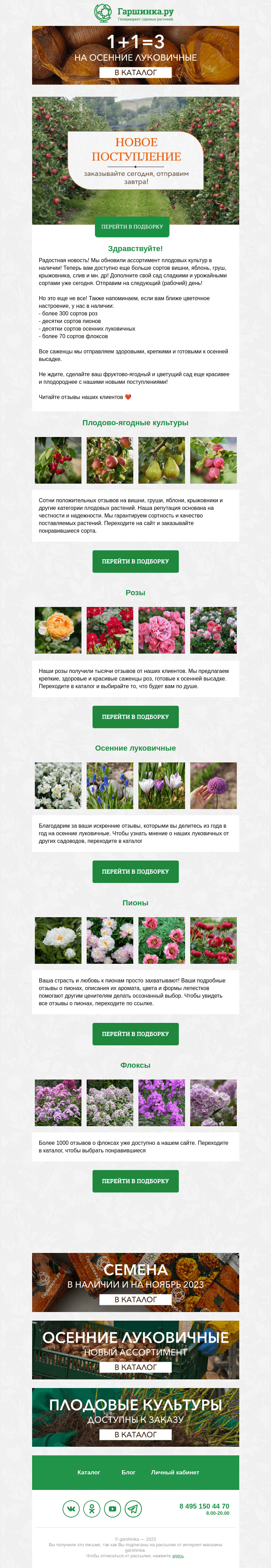 Письмо компании «Гаршинка.ру» на тему «🤩 Новое поступление растений в наличии!»