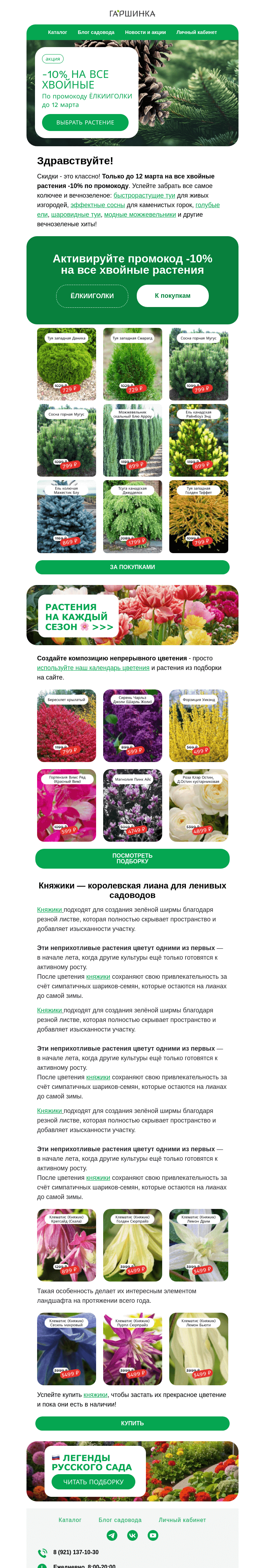 Письмо компании «Гаршинка.ру» на тему «🌲ЁЛКИИГОЛКИ 👉 Вам промокод на хвойные растения! ✅»