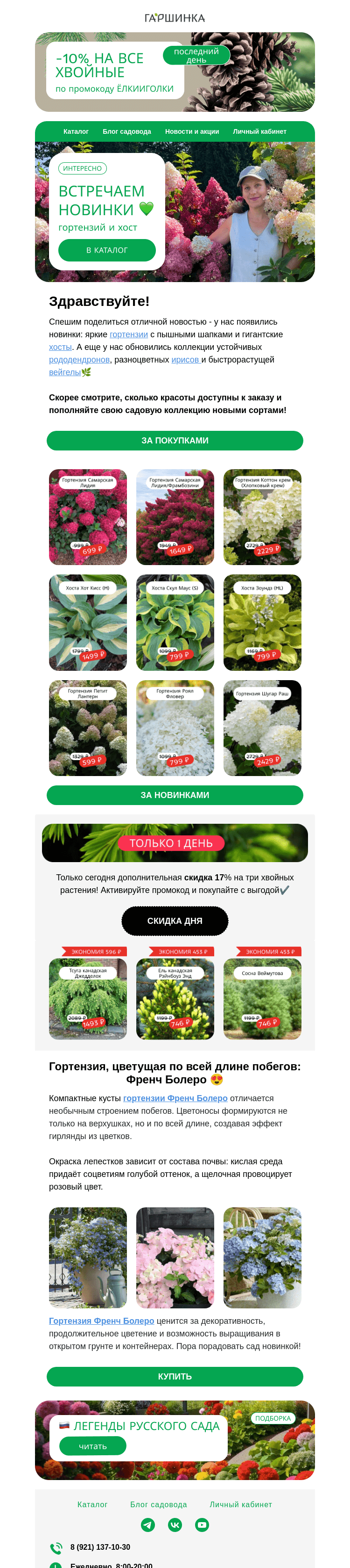 Письмо компании «Гаршинка.ру» на тему «Встречаем НОВИНКИ🌸🍒🌺 И промокод на доп.выгоду✔️»