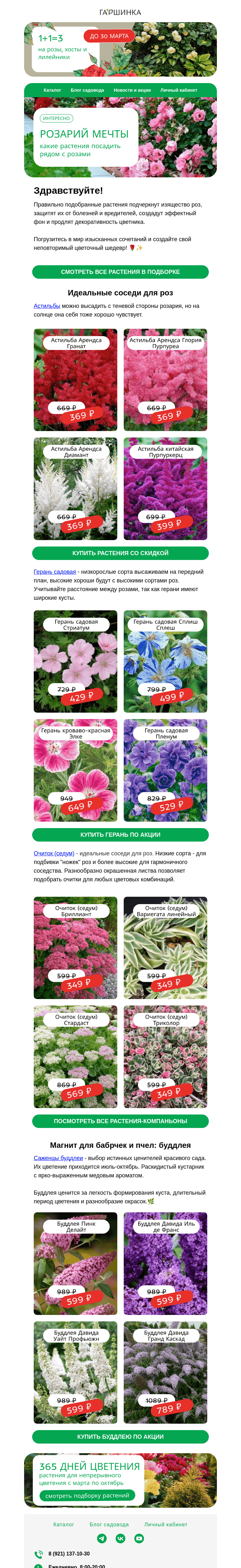 Письмо компании «Гаршинка.ру» на тему «Создайте розарий мечты 😍 1+1=3 на розы, лилейники и хосты 🌿🌺»