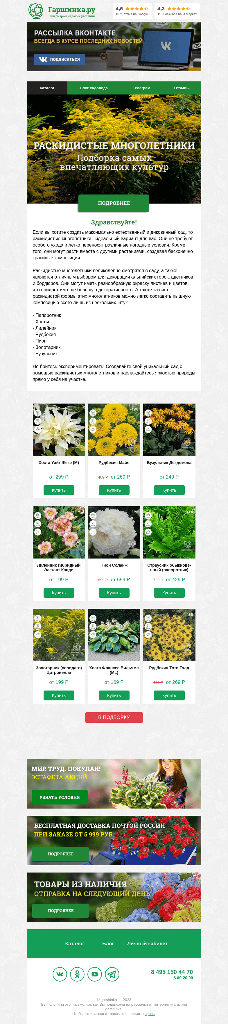 Письмо компании «Гаршинка.ру» на тему «🌼🌺🌸 Раскидистые многолетники»