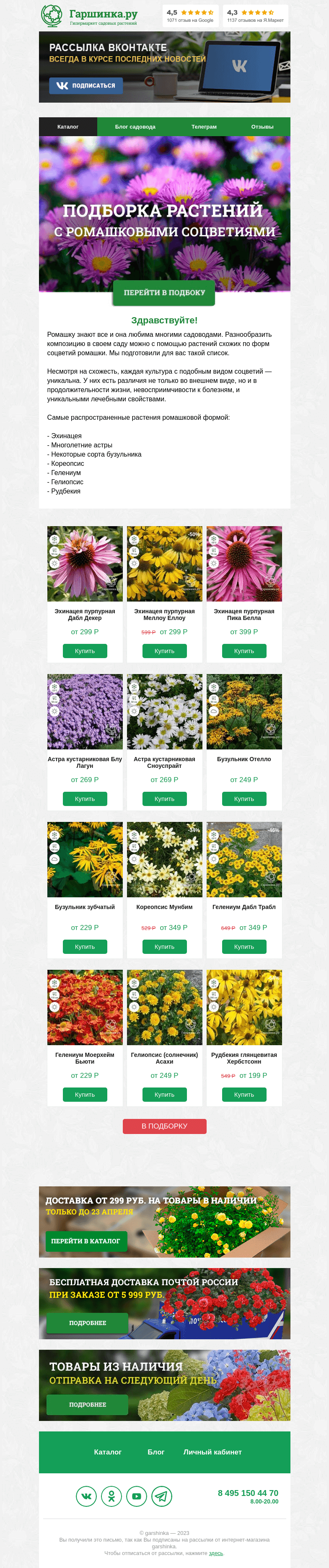 Письмо компании «Гаршинка.ру» на тему «🌼 Подборка растений с ромашковыми соцветиями»
