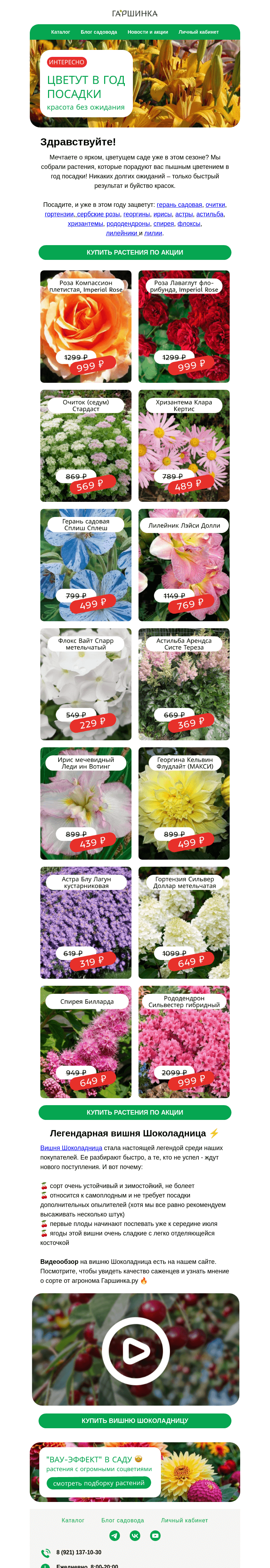 Письмо компании «Гаршинка.ру» на тему «Зацветут в год подсадки!  🌷👀🌺 Выбирайте красоту без ожидания ✔️»