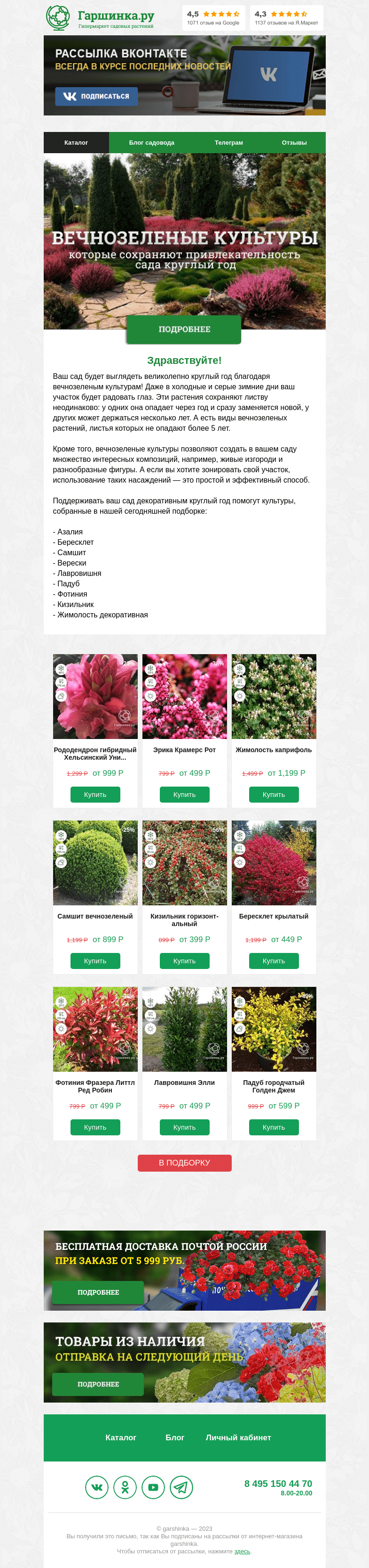 Письмо компании «Гаршинка.ру» на тему «🌱 Вечнозеленые культуры, которые сохраняют привлекательность сада круглый год»