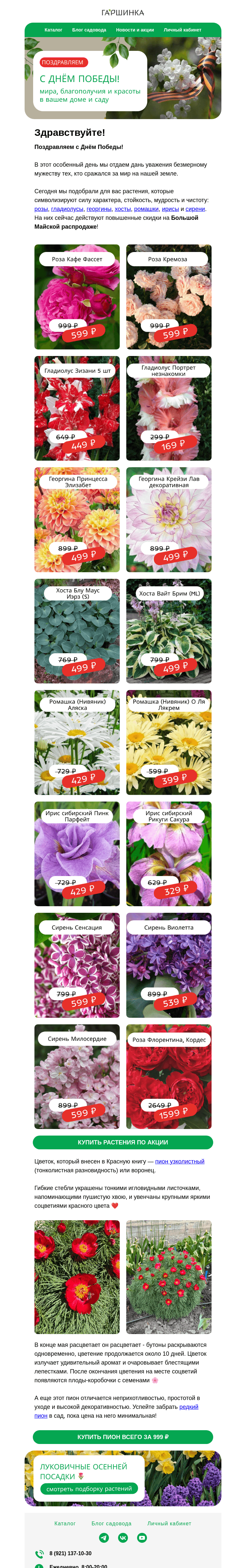 Письмо компании «Гаршинка.ру» на тему «С Днём Победы! 🌿🌹 Эти растения символизируют силу характера, стойкость, мудрость и чистоту 🌷»