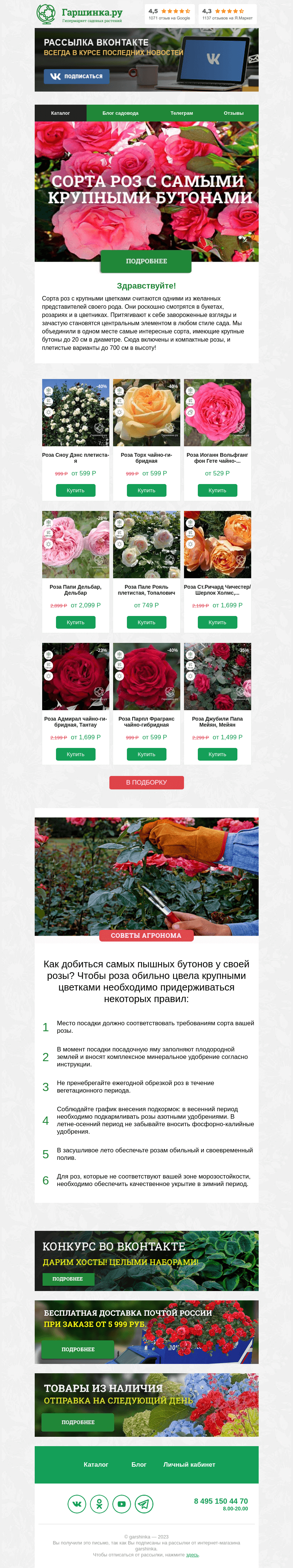 Письмо компании «Гаршинка.ру» на тему «🌹 Сорта роз с самыми крупными бутонами»