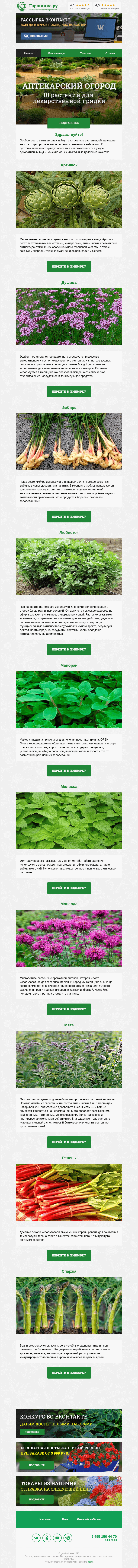 Письмо компании «Гаршинка.ру» на тему «🌱 Аптекарский огород: 10 растений для лекарственной грядки»
