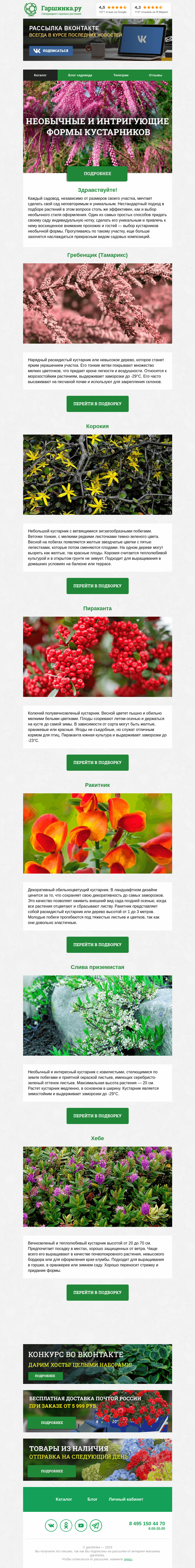 Письмо компании «Гаршинка.ру» на тему «🌳🌾🌺 Необычные и интригующие формы кустарников»