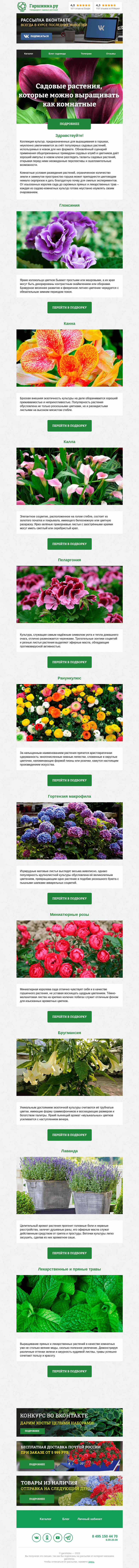 Письмо компании «Гаршинка.ру» на тему «🌸 Садовые растения, которые можно выращивать как комнатные»