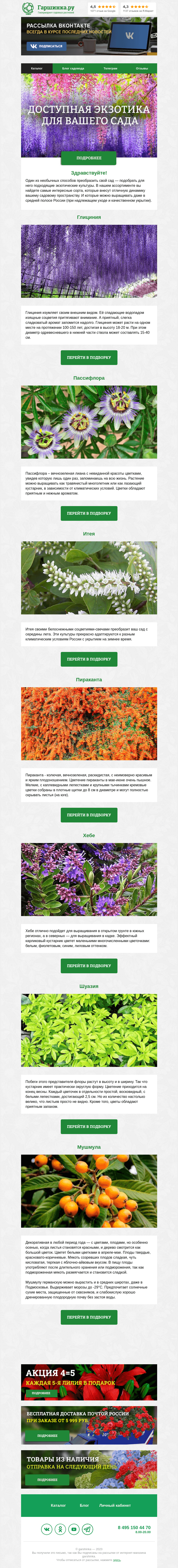 Письмо компании «Гаршинка.ру» на тему «🌷🌾🌺 Доступная экзотика для вашего сада.»