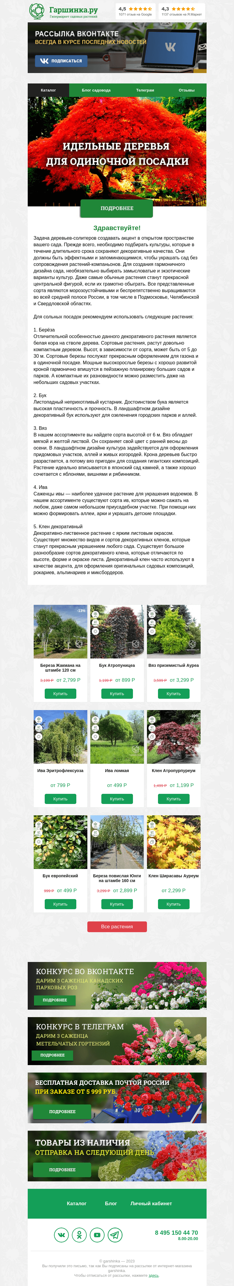 Письмо компании «Гаршинка.ру» на тему «🌳 Идеальные деревья для одиночной посадки»