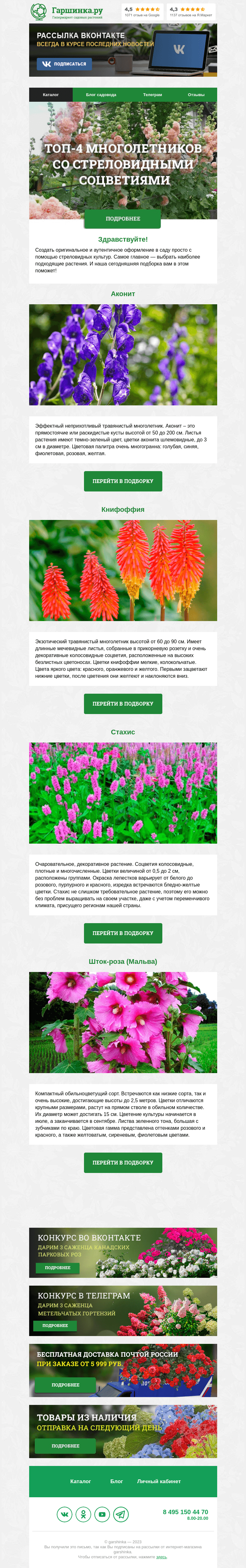 Письмо компании «Гаршинка.ру» на тему «🤩 ТОП 4 многолетника со стреловидными соцветиями!»