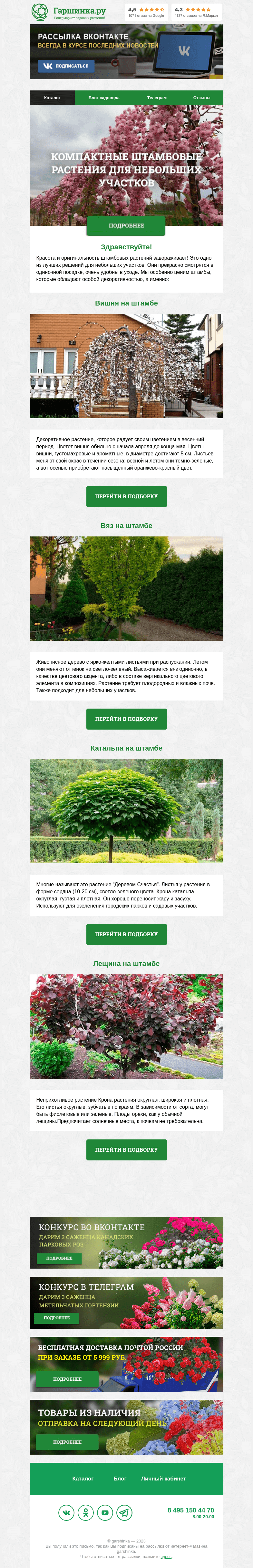 Письмо компании «Гаршинка.ру» на тему «🌳 Компактные штамбовые растения для небольших участков»