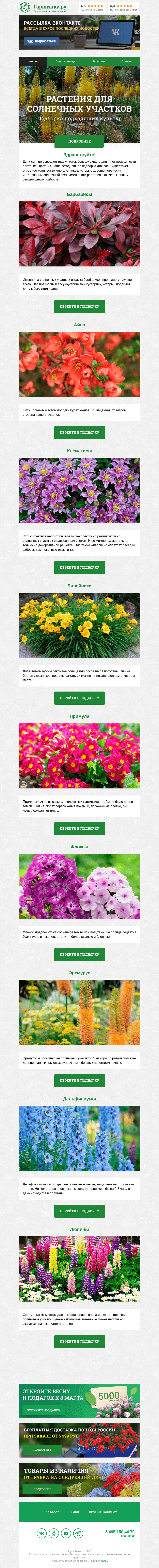 Письмо компании «Гаршинка.ру» на тему «🌞 Растения для солнечных участков»