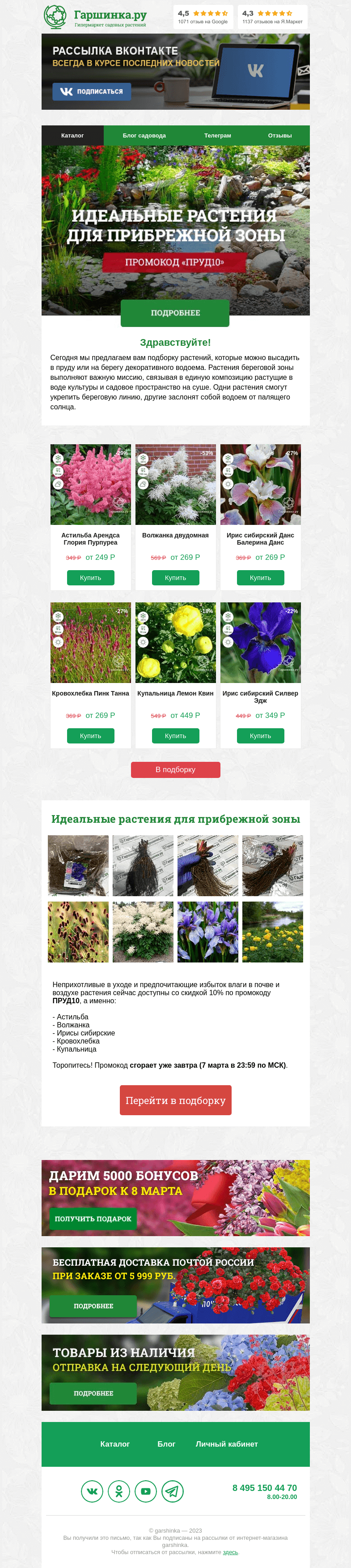 Письмо компании «Гаршинка.ру» на тему «🌱 Идеальные растения для прибрежной зоны»