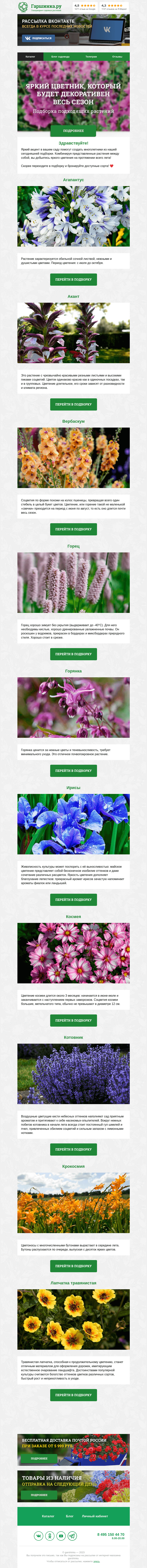 Письмо компании «Гаршинка.ру» на тему «🌺🌷🌸 Ярко-цветущие многолетники, которые будут декоративны весь сезон»