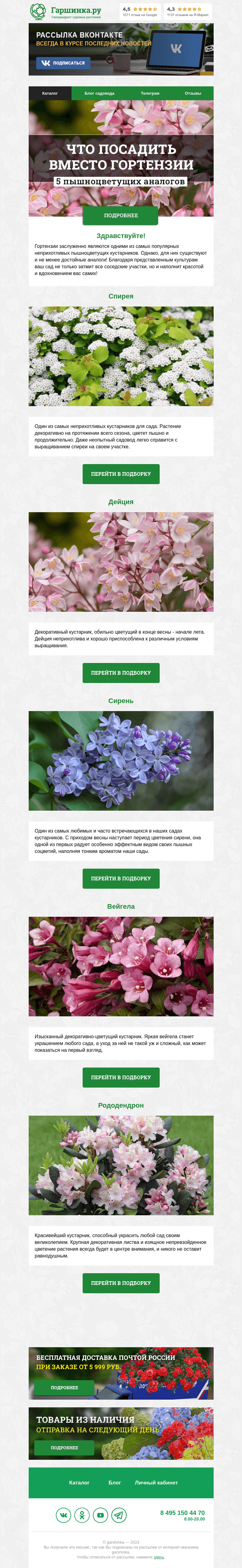 Письмо компании «Гаршинка.ру» на тему «🌸 Что посадить вместо гортензии: 5 пышноцветущих аналогов»