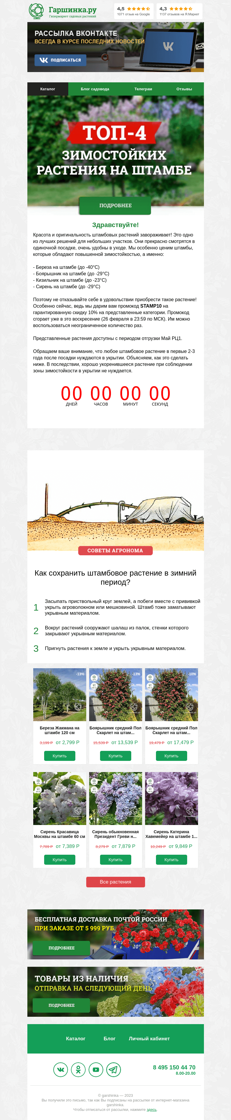 Письмо компании «Гаршинка.ру» на тему «💥 [СКИДКА ВНУТРИ] ТОП-4 зимостойких штамбовых растения для вашего сада!»