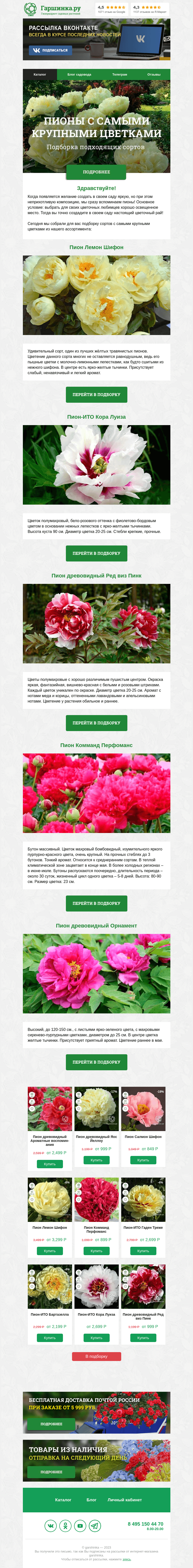 Письмо компании «Гаршинка.ру» на тему «🌼 Пионы с самыми крупными цветками»