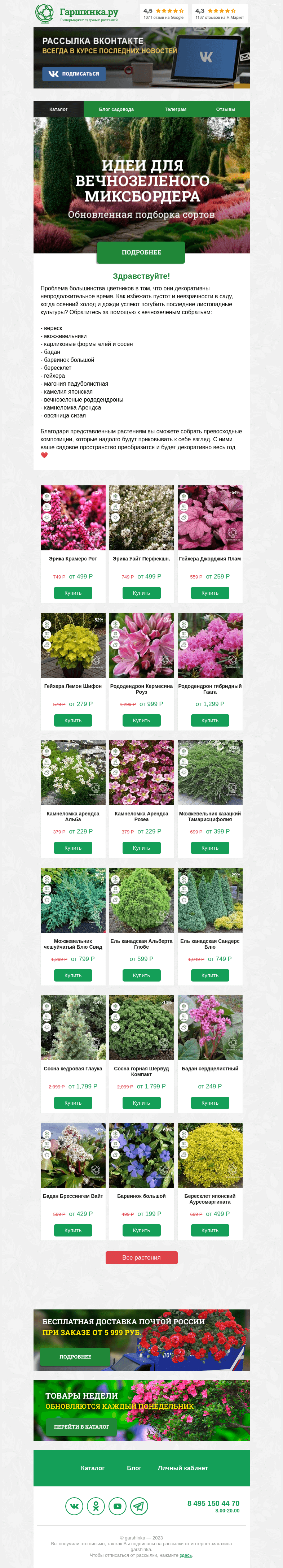 Письмо компании «Гаршинка.ру» на тему «🌱 Идеи для вечнозеленого миксбордера. Обновленная подборка.»