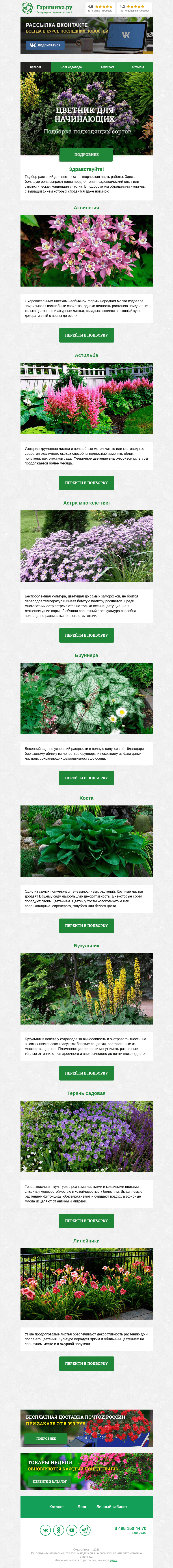 Письмо компании «Гаршинка.ру» на тему «Цветник для начинающих 🌸🌾🌷»