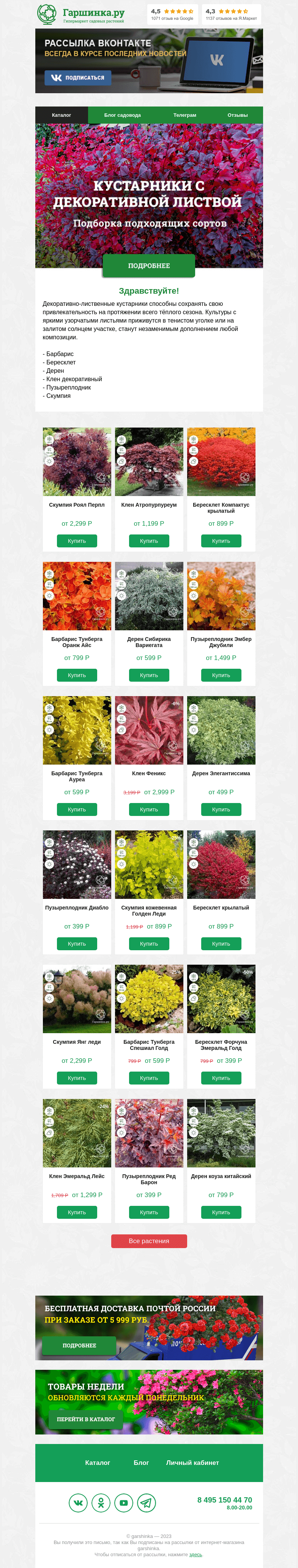 Письмо компании «Гаршинка.ру» на тему «🌱 Кустарники с декоративной листвой»