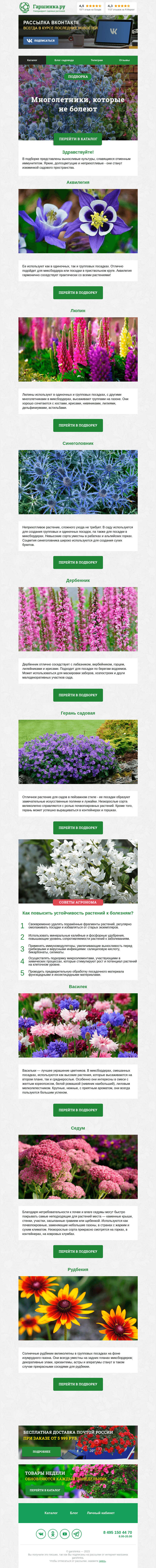 Письмо компании «Гаршинка.ру» на тему «🌱 Многолетники, которые не болеют»