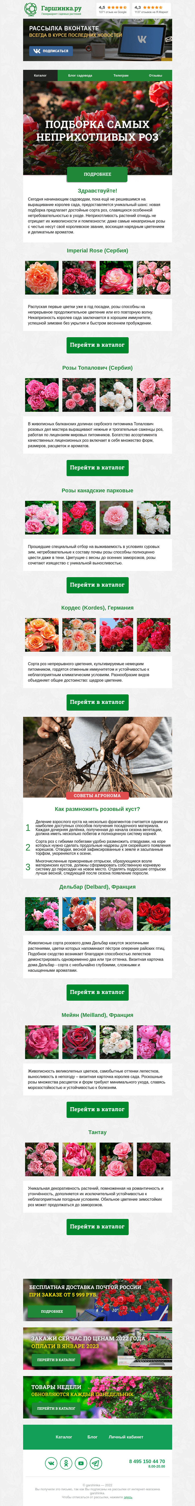 Письмо компании «Гаршинка.ру» на тему «🌹 Самые неприхотливые розы»