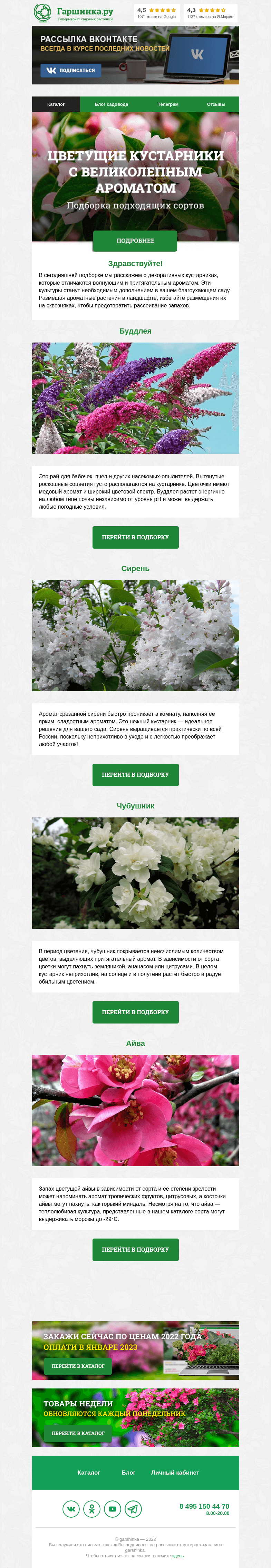 Письмо компании «Гаршинка.ру» на тему «🌿 Цветущие кустарники с великолепным ароматом»
