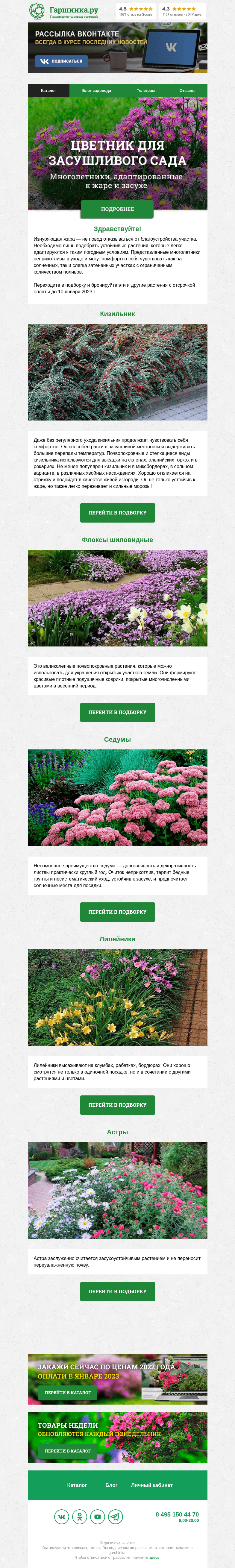 Письмо компании «Гаршинка.ру» на тему «🌺 Многолетники, адаптированные к жаре и засухе»