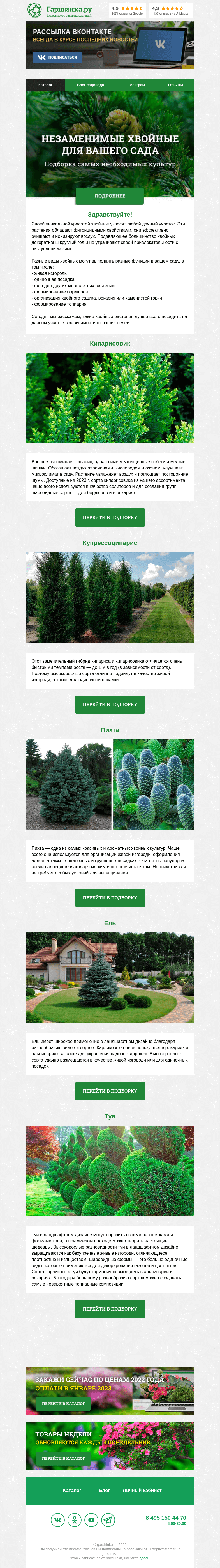Письмо компании «Гаршинка.ру» на тему «🌲 Незаменимые хвойные для вашего сада»