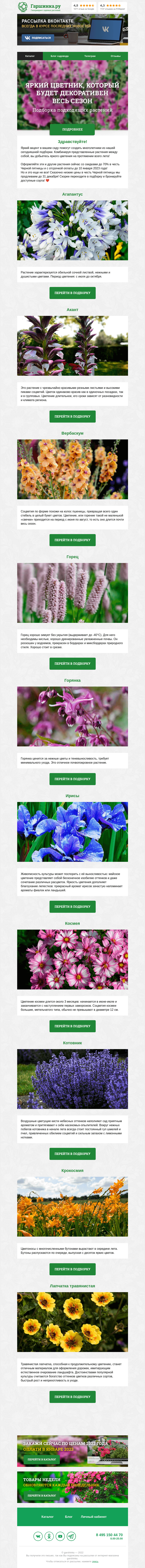 Письмо компании «Гаршинка.ру» на тему «🌺🌷🌸 Яркий цветник, который будет декоративен весь сезон»